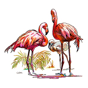 Flamingo Family, Julie Bell