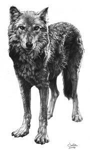 Odin (2006), Julie Bell