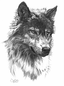 Wolf Head, Julie Bell
